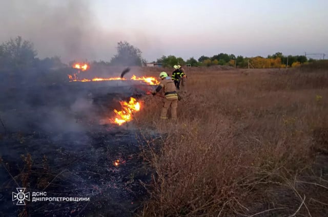 На Криворожье за неделю спасатели ликвидировали 141 пожар