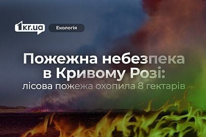 8 гектарів Краматорського лісу знищило полум’я в Кривому Розі