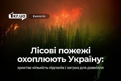 Масові пожежі по Україні: у яких областях країни найскладніша ситуація