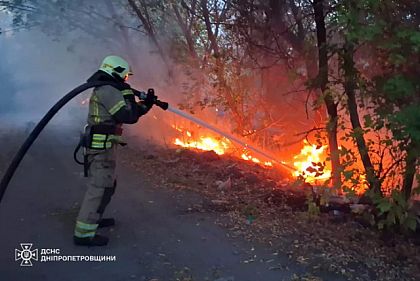 За прошедшие сутки на Днепропетровщине огонь уничтожил более 53 гектаров экосистем