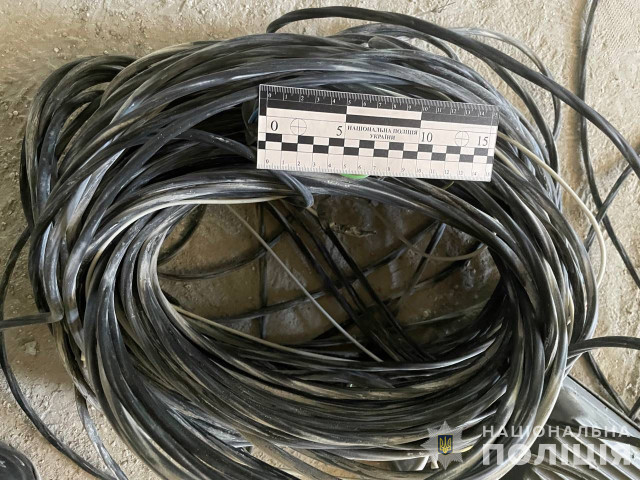 Криворіжець викрав 260 метрів кабелю зі школи: рішення правоохоронців