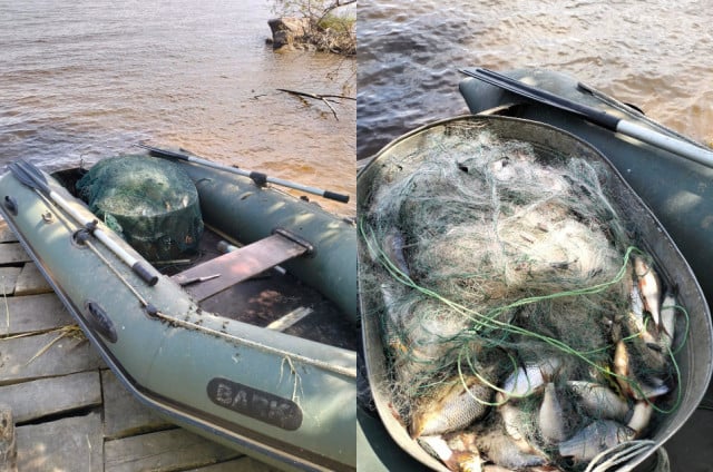 На Дніпропетровщині рибпатрульні виявили двох чоловіків, які незаконно виловили 600 рибин