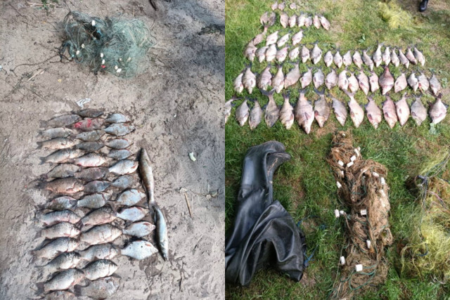 Уранці на Дніпропетровщині викрили чоловіків, які наловили риби на 170 000 гривень