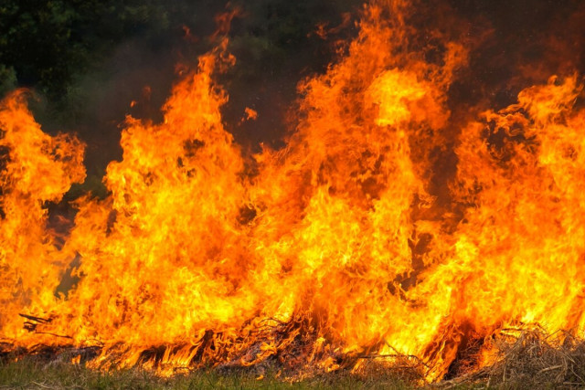 У Кривому Розі надзвичайна пожежна небезпека триватиме ще 5 днів