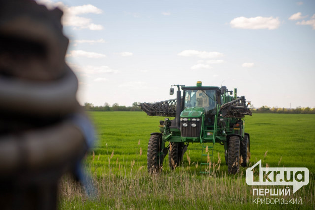Посевная на финише: аграрии Украины засеяли более 96% зерновых и зернобобовых