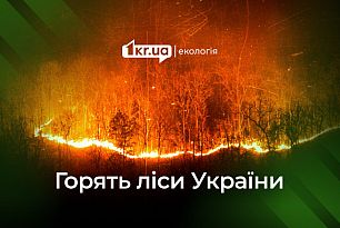 Пожары в украинских лесах: почти 90% пожаров в результате вражеских обстрелов