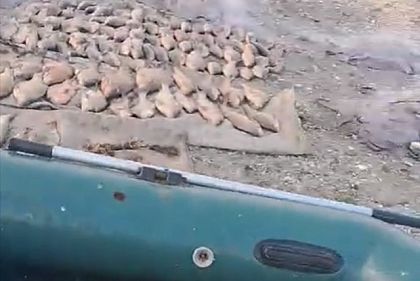 На Днепропетровщине мужчина незаконно выловил рыбы на почти 270 тысяч гривен убытков