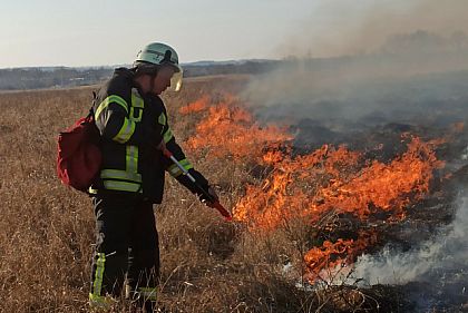 На Днепропетровщине продолжается пожарная опасность