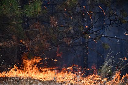 Найближчими днями на Дніпропетровщині зберігатиметься пожежна небезпека