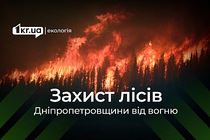 Как на Днепропетровщине защищают леса от пожаров