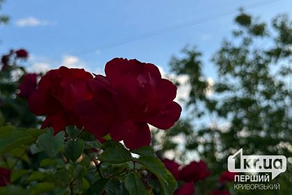 Малооблачно и без осадков: погода в Кривом Роге в субботу 25 мая
