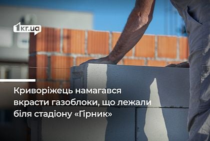 В Кривом Роге мужчина к краже газоблоков привлек несовершеннолетнего сына: как его наказал суд