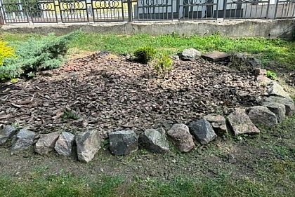 В парке Мершавцева Кривого Рога обокрали клумбу в парке