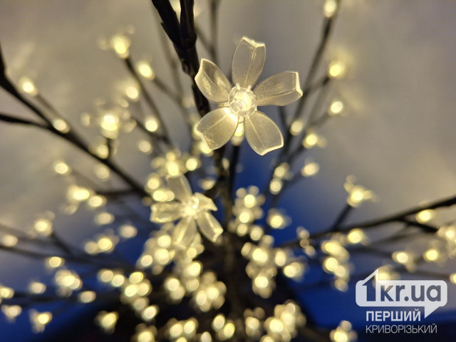 В новогоднюю неделю энергетики вернули свет для 11,5 тысячи семей Днепропетровщины