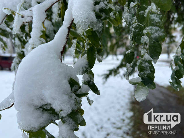Снігопади та ожеледиця: у Кривому Розі очікується погіршення погодних умов