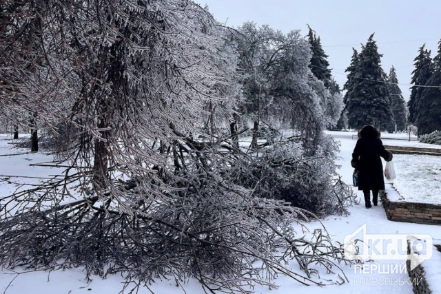 В Кривом Роге из-за непогоды убрали более 1 550 деревьев и веток