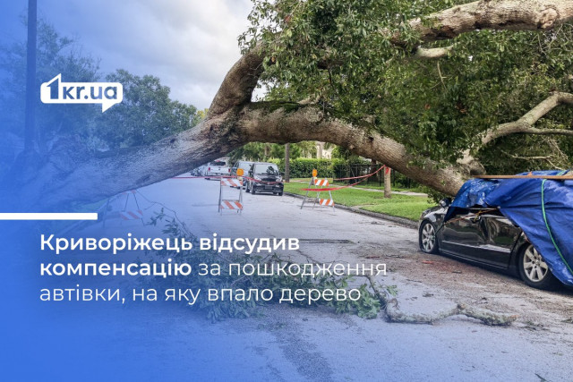 Дерево впало на автівку: у Кривому Розі керуюча компанія компенсує криворіжцю збитки
