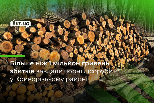 Днепропетровщина снова в лидерах по нарушениям природоохранного законодательства: в Криворожском районе незаконно вырубили деревья
