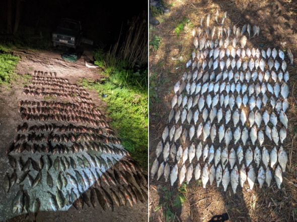 Более 25 миллионов гривен убытков в год: рыбпатрульные обнаружили нарушителей