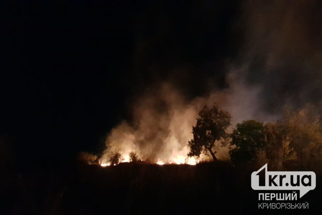 У пожежі в Дніпрі загинули жінка та троє дітей