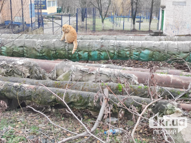 У Кривому Розі тимчасово не буде опалення: де та чому