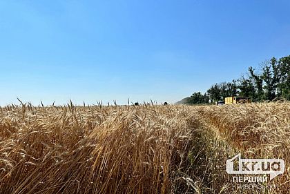 В Украине открыли второй этап рынка земли
