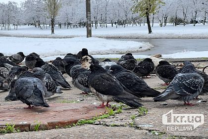 Криворожан предупреждают об ухудшении погодных условий с 7 января