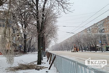 Криворожан просят самостоятельно убирать ветки во дворах