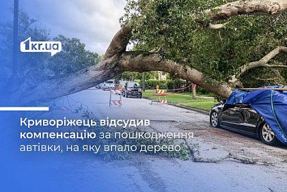 Дерево упало на авто: в Кривом Роге управляющая компания компенсирует криворожанину убытки