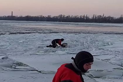 Бойцы ГСЧС Днепропетровщины спасли двух лебедей