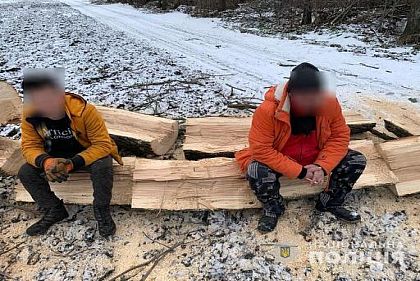 На Днепропетровщине полицейские разоблачили факт незаконной порубки древесины