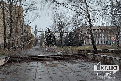У Кривому Розі досі є аварійні дерева після негоди на початку січня