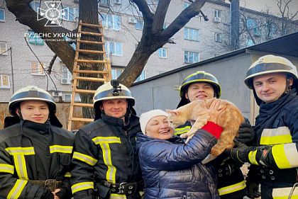 В Днепре чрезвычайники спасли кота