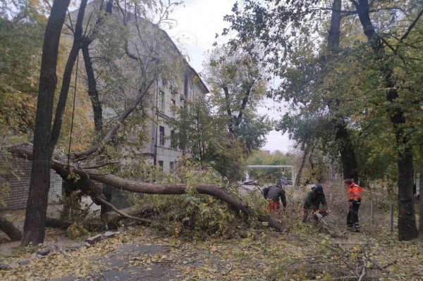 пориви вітру