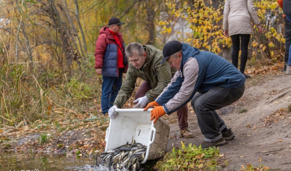 зариблення