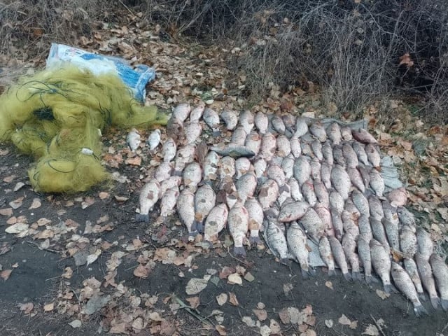 На Днепропетровщине рыбак незаконно выловил рыбы на почти 150 тысяч гривен