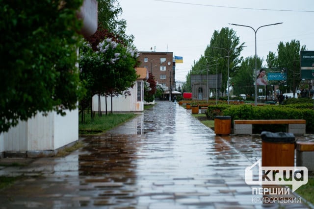 Криворіжців попереджають про сильні пориви вітру та значний дощ 21 листопада