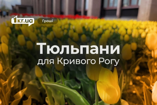 Криворізьке КП придбало українські тюльпани у «Голландських троянд»