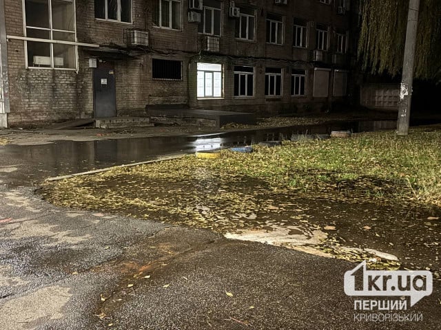 З-під асфальту біжить вода: у Кривому Розі на 95 кварталі стався порив