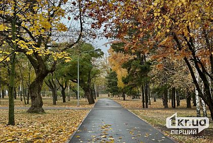 Погода в Кривом Роге на 15 ноября