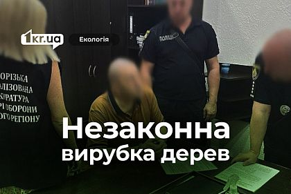 На Криворожье будут судить начальника логистики воинской части за незаконную порубку деревьев