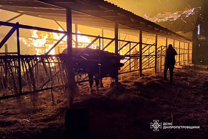Погибло более 140 животных: в Днепропетровской области горела конеферма