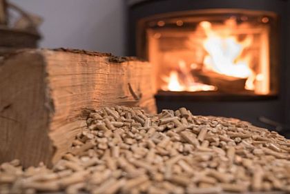 Более 2,6 тысяч семей Днепропетровщины получили деньги на древесину и пеллеты