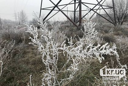 Порывы ветра и гололедица: погода в Кривом Роге 22 ноября