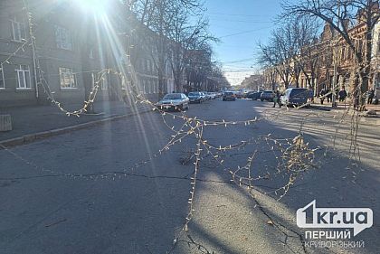 На Почтовом проспекте Кривого Рога гирлянда с дерева упала на дорогу