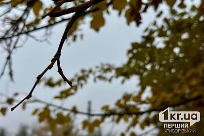 Какой будет погода в Кривом Роге 27 ноября