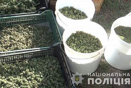 Полиция изъяла 10 килограммов каннабиса у наркодельца с Днепропетровщины