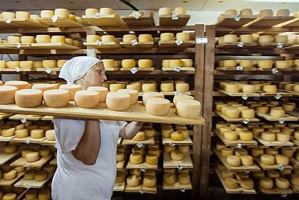 Грант для ветеранов и их супруг: в Криворожском районе заработает сыроварня