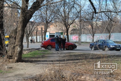 В Кривом Роге девушка на «Daewoo» столкнулась с деревом и выехала на тротуар