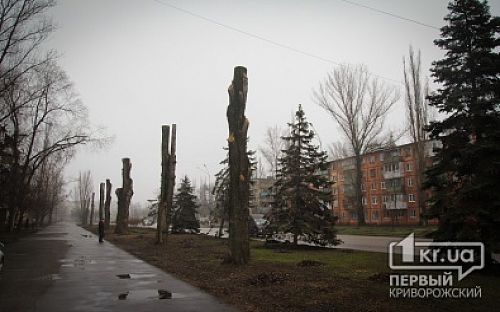 Главное фото новости
